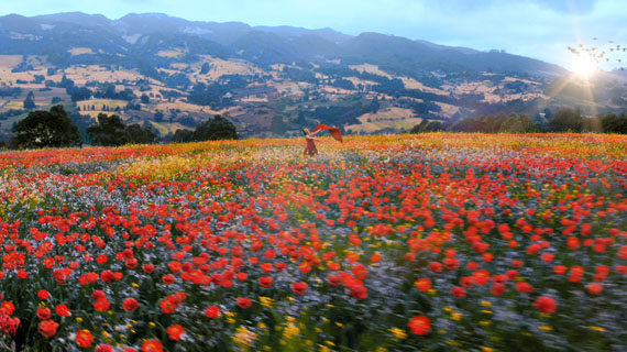Image from 4K